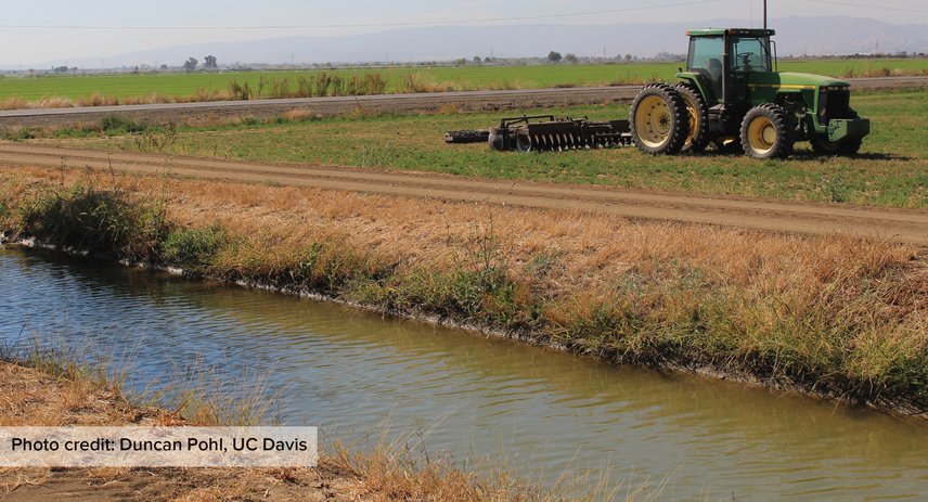 Drought Impacts On California Farm Revenue And Prices Giannini Foundation Of Agricultural Economics